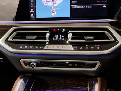 2023 BMW X6 缩略图 54