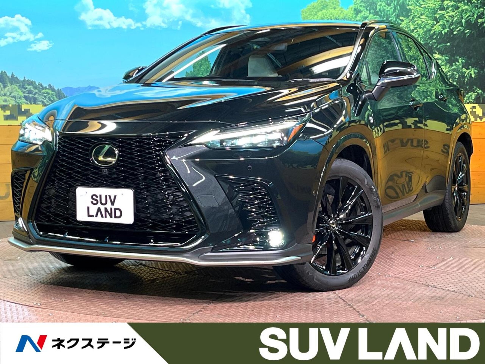 LEXUS NX - View 1