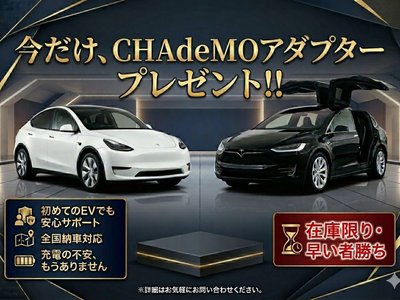 2018 Tesla MODEL X — фото 7