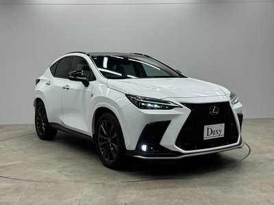LEXUS NX - 10