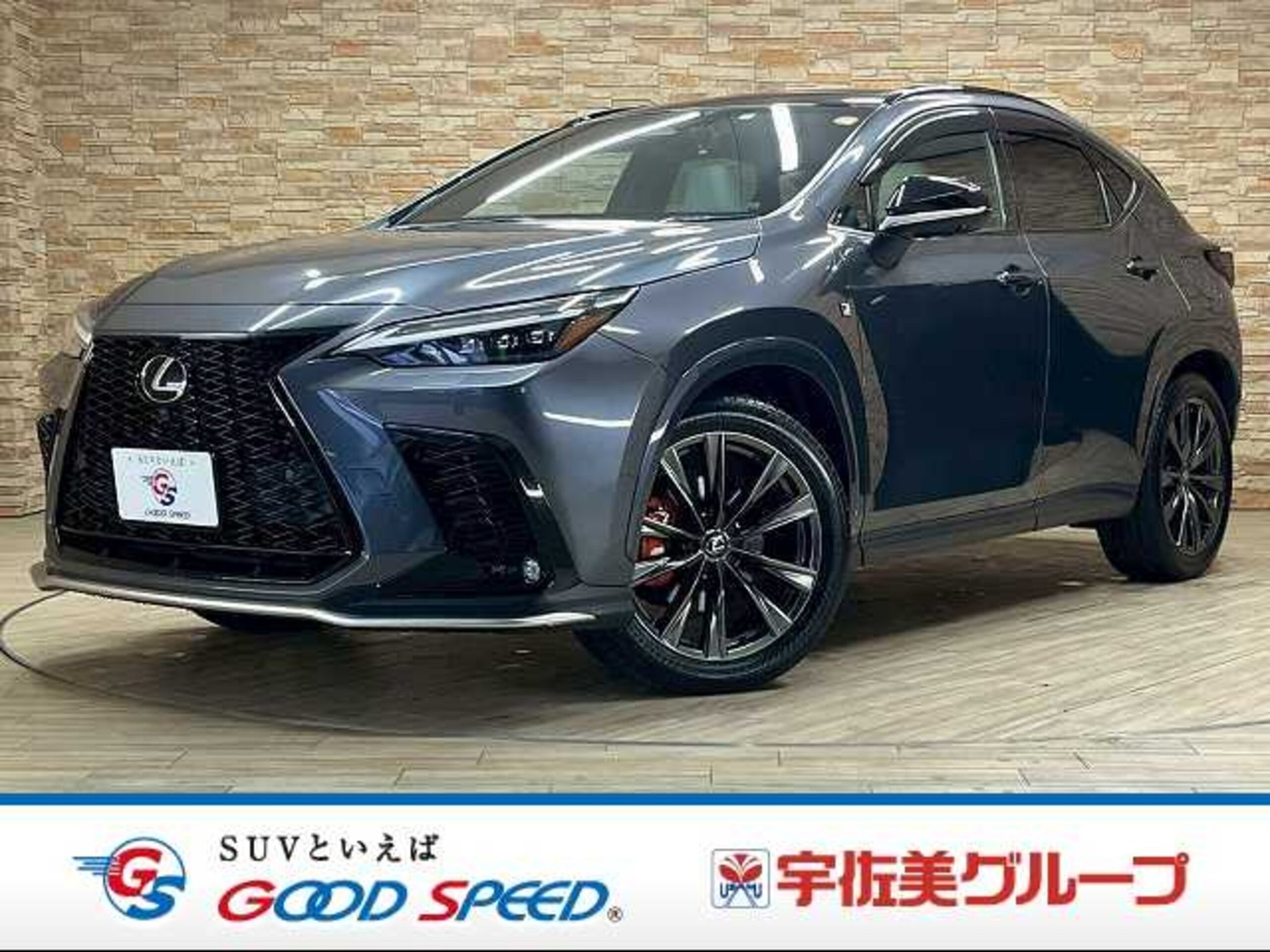 LEXUS NX - View 1