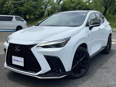 LEXUS NX - 7