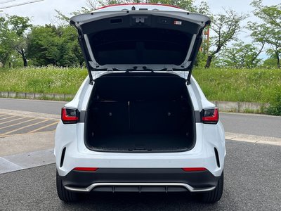 LEXUS NX - 10