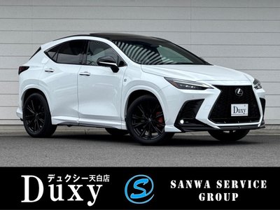 LEXUS NX - 1