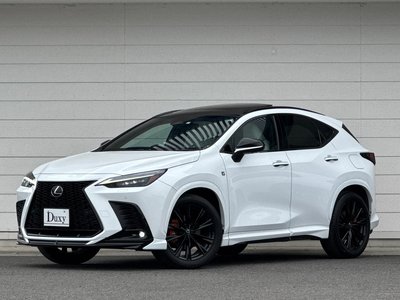 LEXUS NX - 6