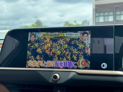 TOYOTA CROWN - 9
