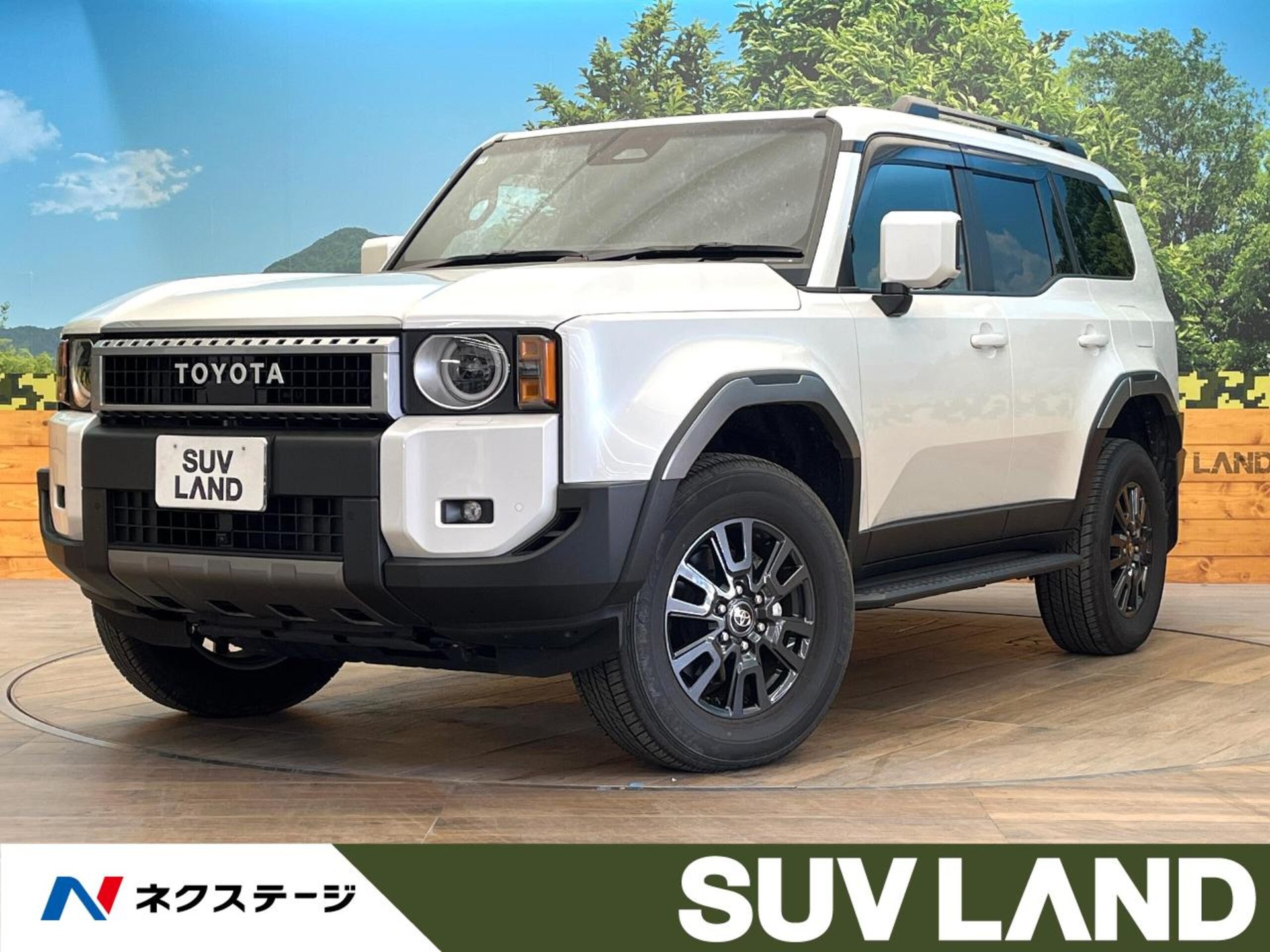 TOYOTA LAND CRUISER 250 - View 1