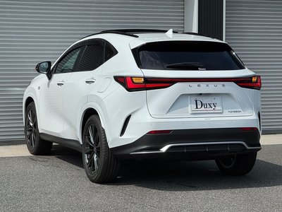 2026 Lexus NX — миниатюра 25