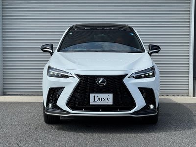 2026 Lexus NX 照片 10