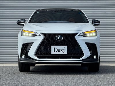 2026 Lexus NX — миниатюра 12