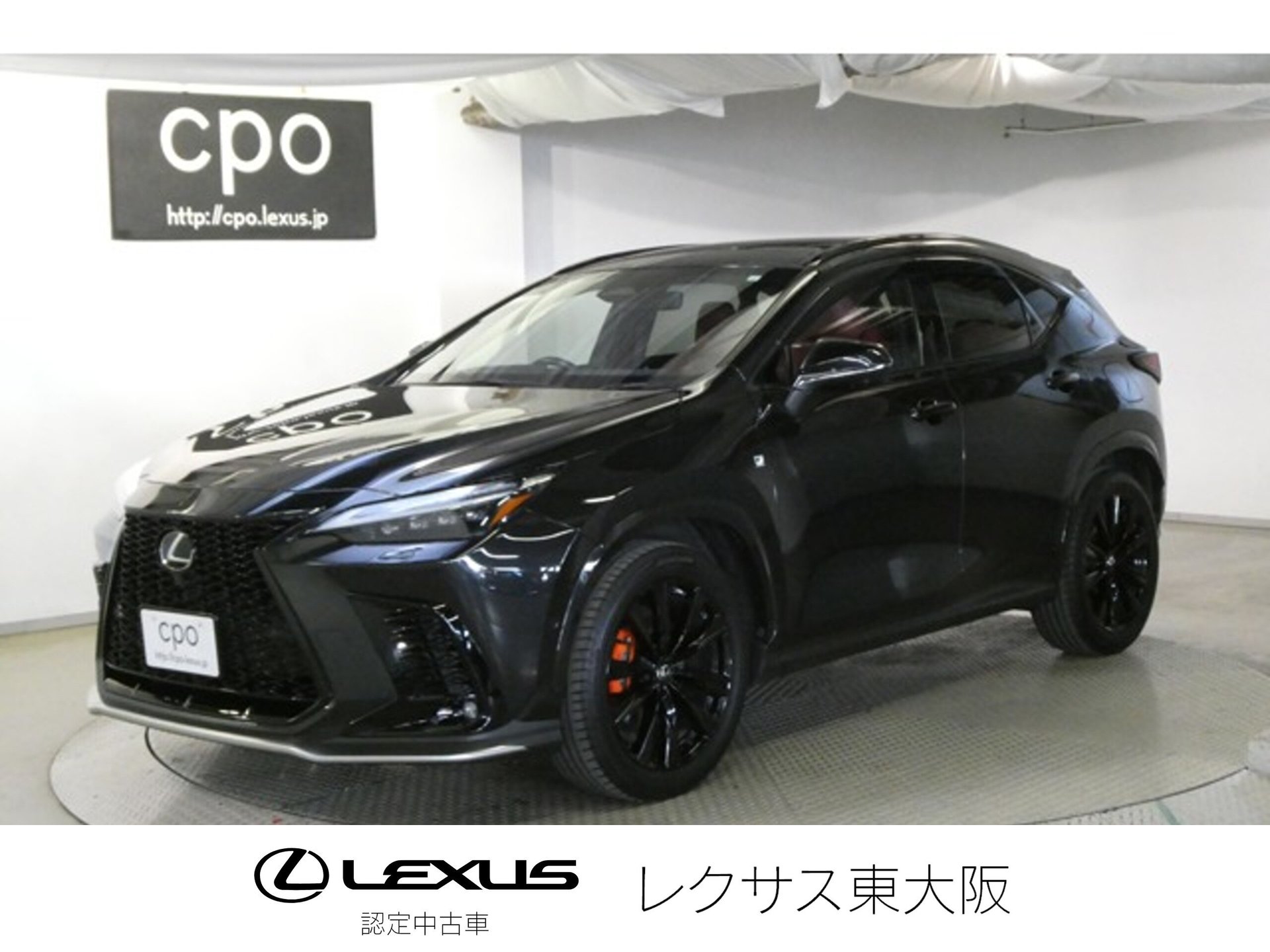 LEXUS NX - View 1