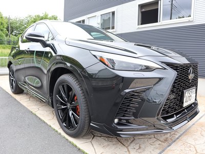 LEXUS NX - 3