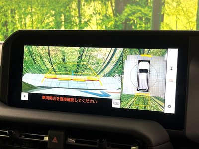 TOYOTA LAND CRUISER 250 - 5