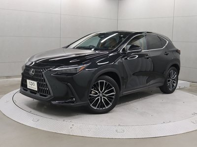 LEXUS NX - 1