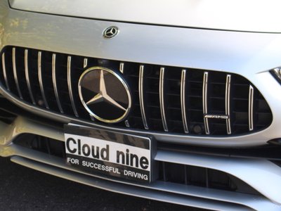 2019 Mercedes-BENZ GT AMG 缩略图 97