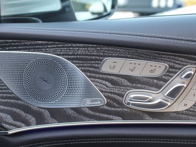 2019 Mercedes-BENZ GT AMG 缩略图 81