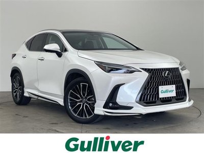 LEXUS NX - 1