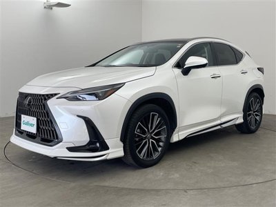 LEXUS NX - 4