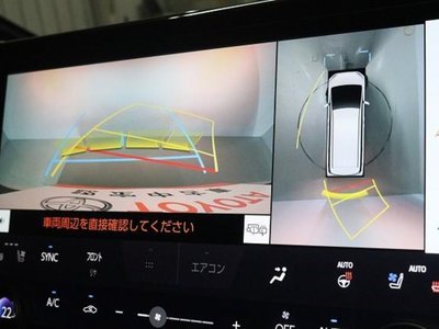 TOYOTA ALPHARD - 10
