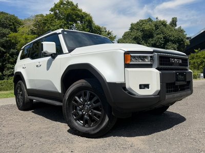 2026 Toyota LAND CRUISER 250 照片 19