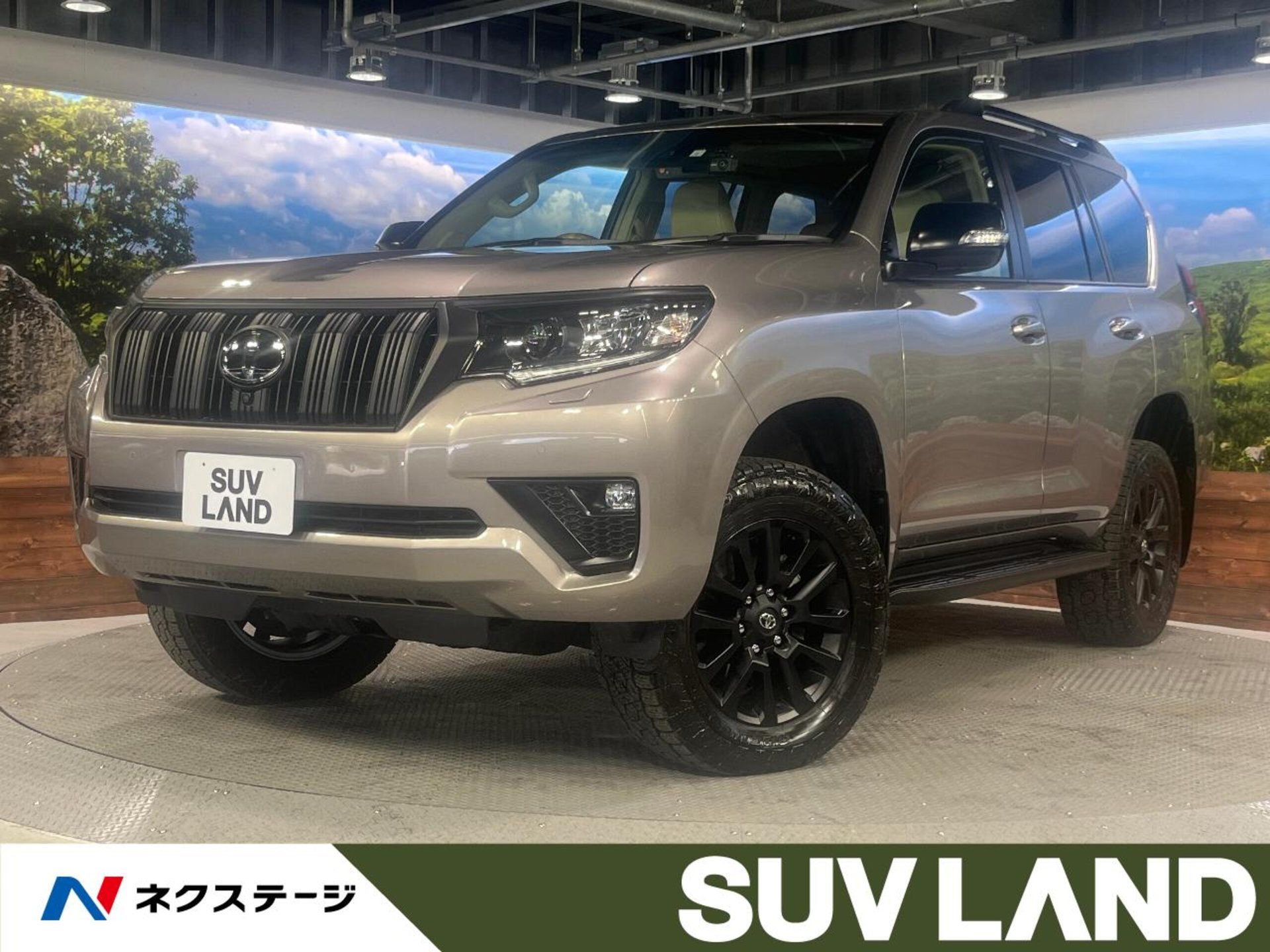 TOYOTA LAND CRUISER PRADO - View 1