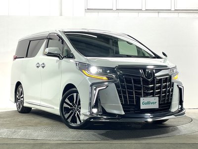 2022 Toyota ALPHARD 缩略图 59