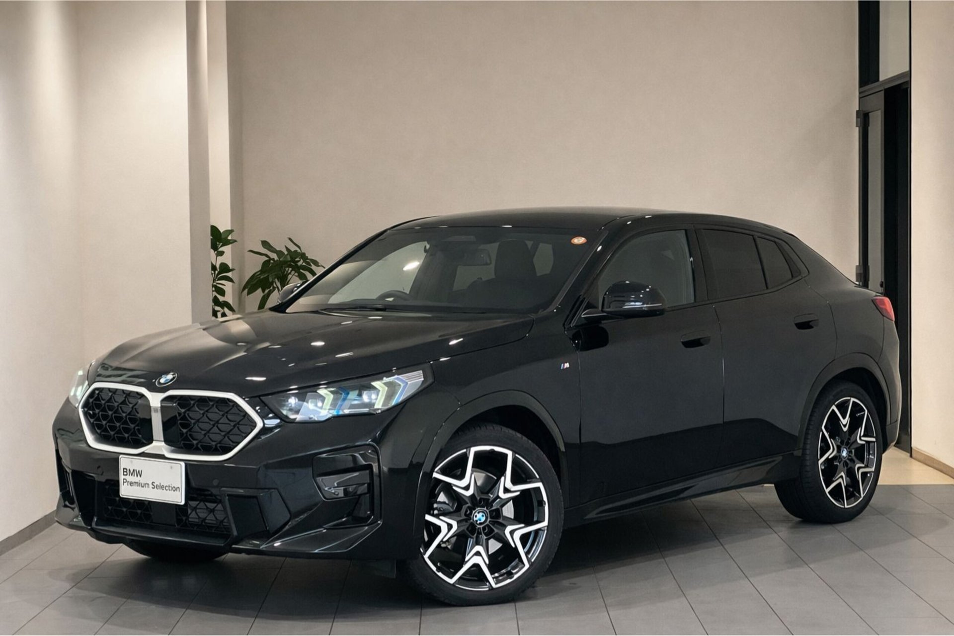 BMW X2 - View 1