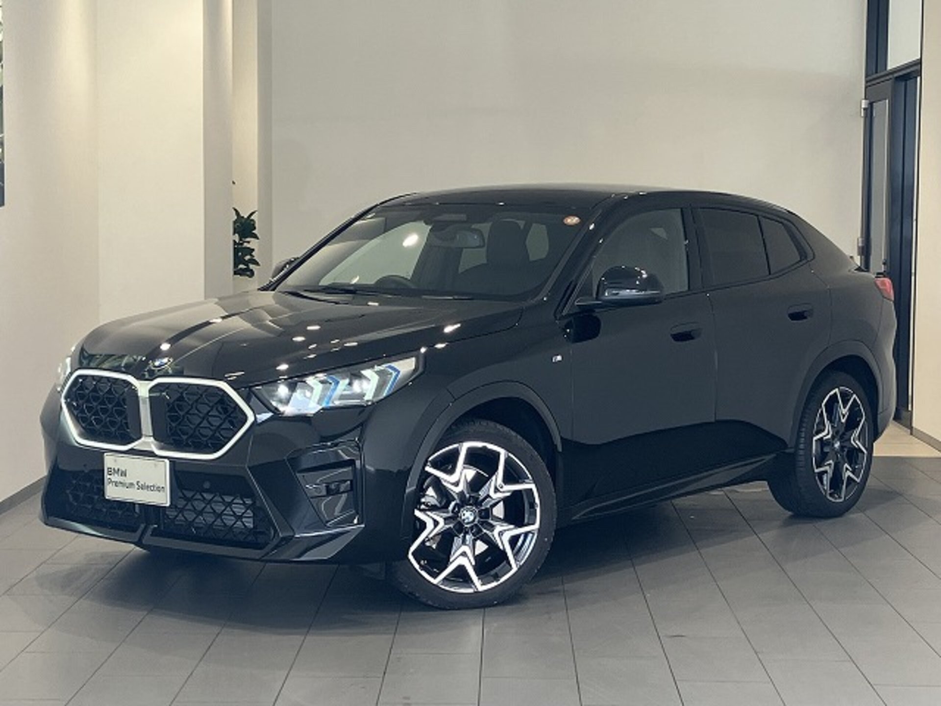 BMW X2 - View 1