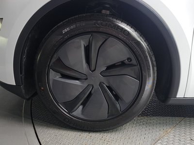 2026 Tesla MODEL Y 照片 6