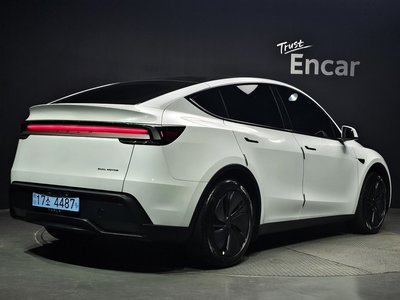 2026 Tesla MODEL Y 照片 3