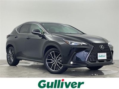 2024 Lexus NX 照片 1
