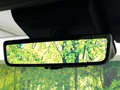 صورة مصغرة 33 لـ 2025 TOYOTA ALPHARD