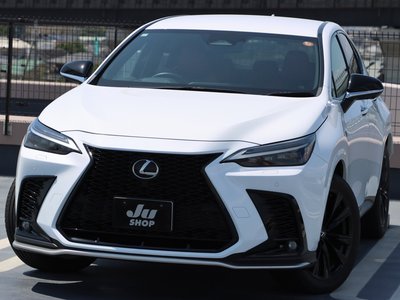 LEXUS NX - 4