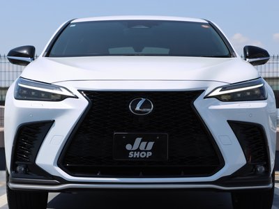 LEXUS NX - 10