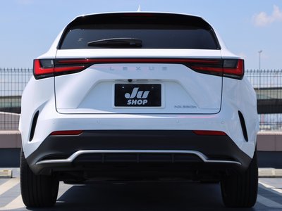 2023 Lexus NX — миниатюра 29