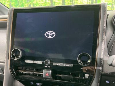 2025 TOYOTA ALPHARD 照片 7