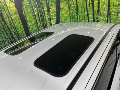 2025 TOYOTA ALPHARD 照片 3