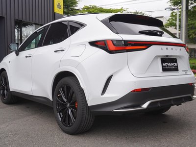LEXUS NX - 10