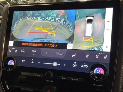 TOYOTA ALPHARD - 6