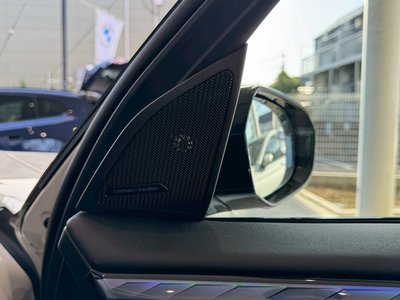 BMW X3 - 7