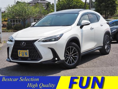 LEXUS NX - 1