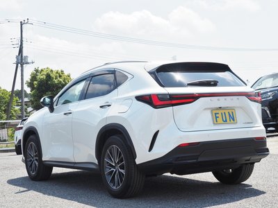 LEXUS NX - 6