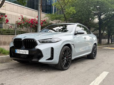 BMW X6 - 1