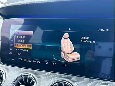 2020 Mercedes-BENZ GT AMG 缩略图 12