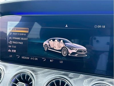 2020 Mercedes-BENZ GT AMG 缩略图 11