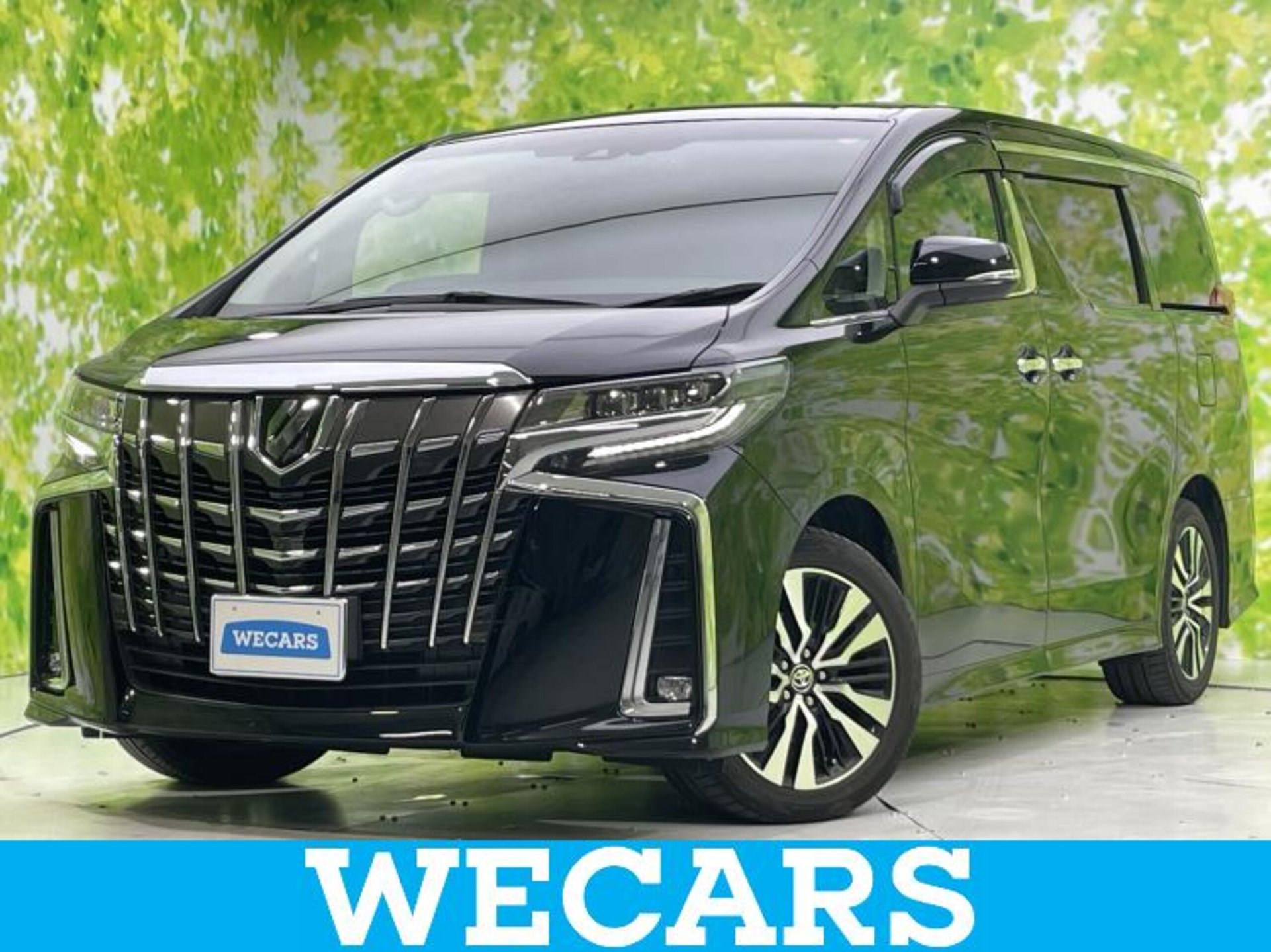 TOYOTA ALPHARD - View 1