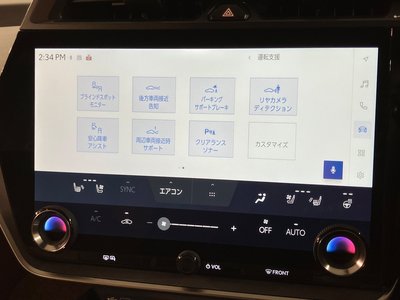 2023 Lexus RZ thumbnail 15