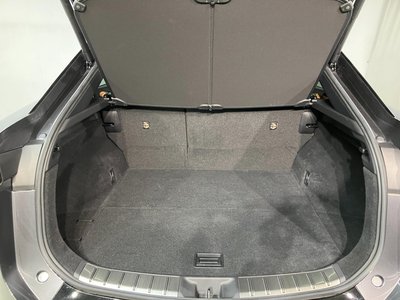 صورة 7 لـ 2023 Lexus RZ