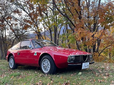1971 ALFA Romeo JUNIOR ZAGATO 1300 — фото 1