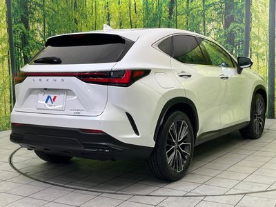 2021 Lexus NX 缩略图 17
